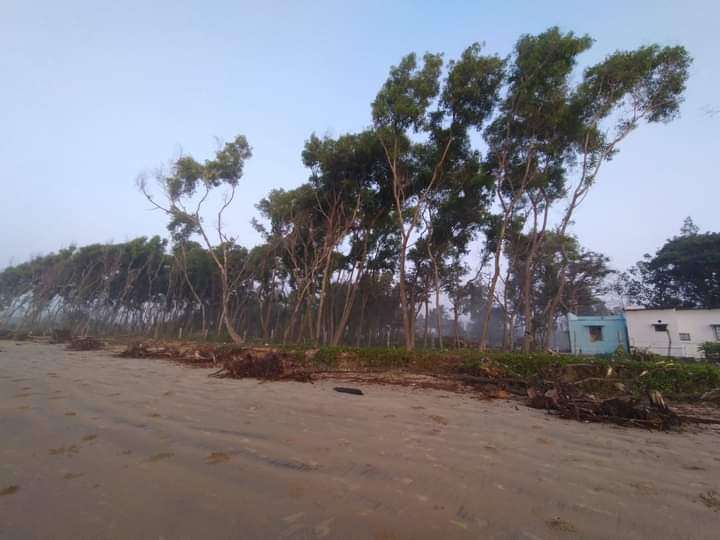 Sea Bird Resort