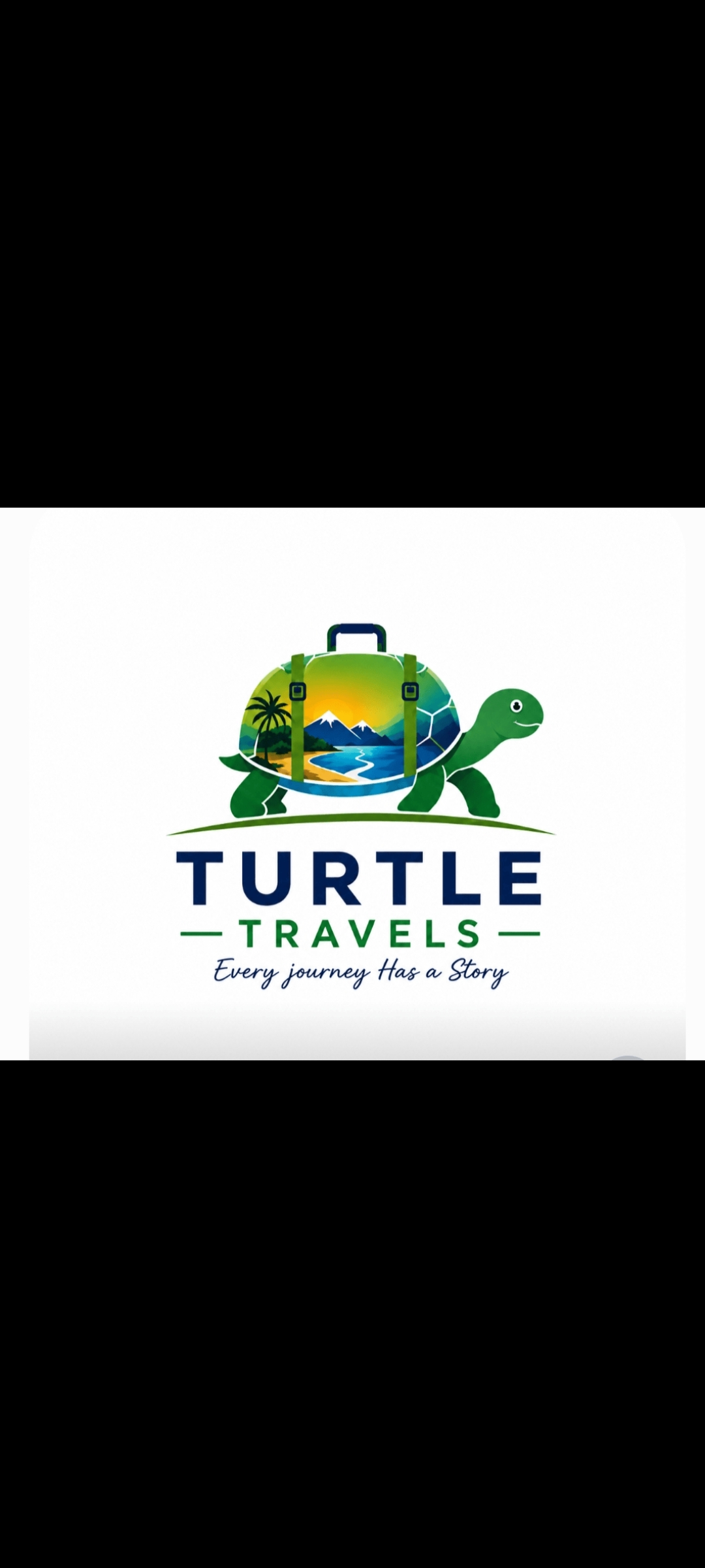 Turtle Travels