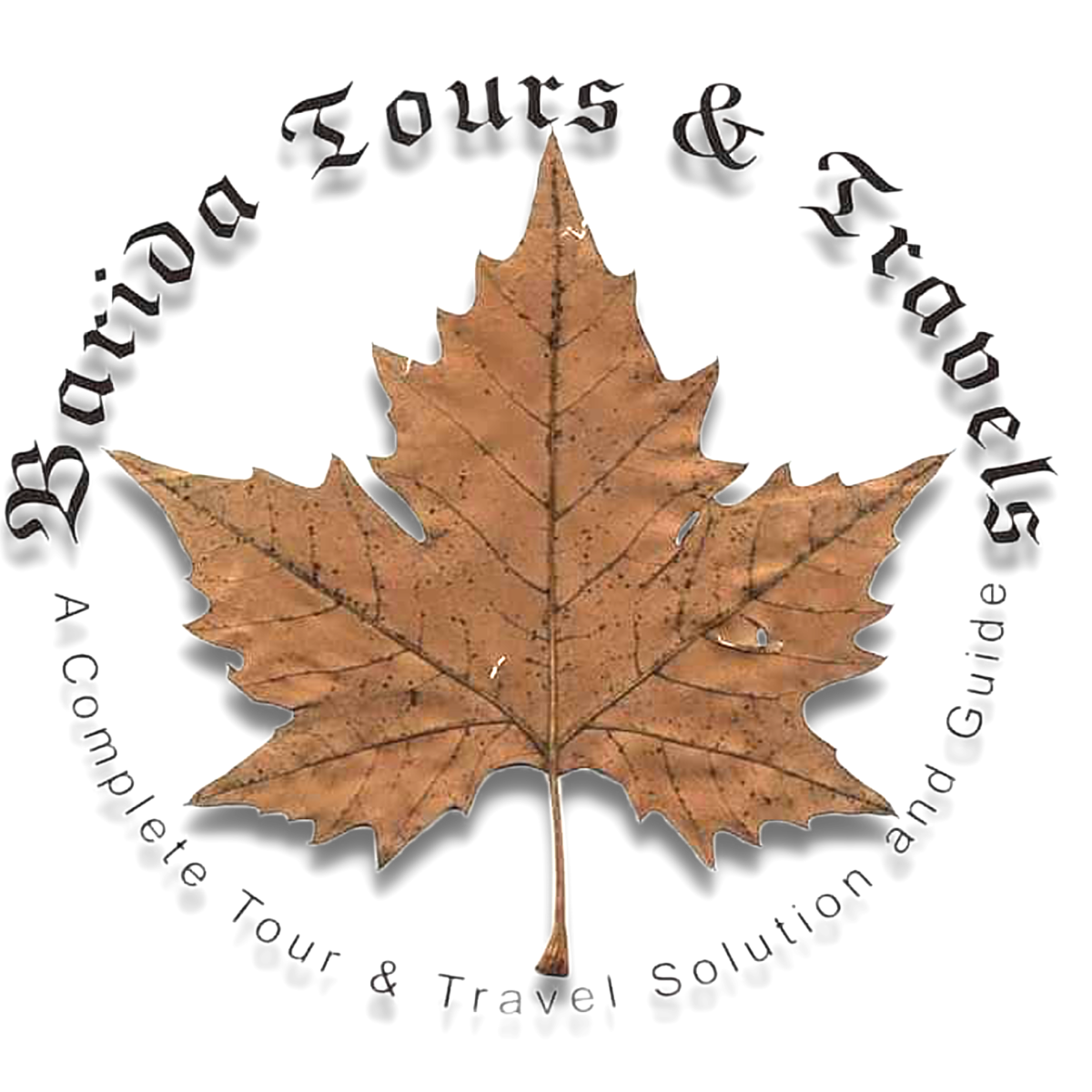 Barida tours & travels