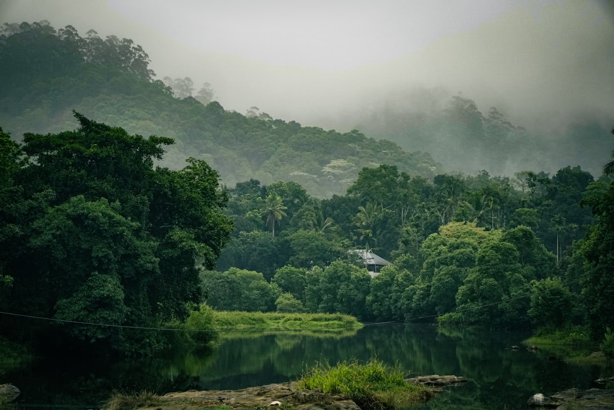 4 Days Premium Munnar & Thekkady Wilderness Retreat: Hills, Spices & Wildlife Safari