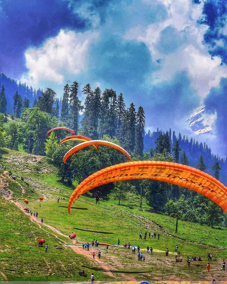 Amazing Manali & Kullu Tour Package