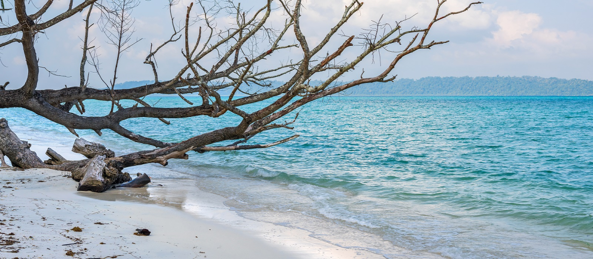 Amazing Andaman: An Affordable Honeymoon Package