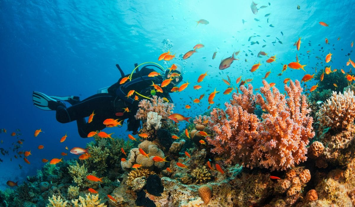 5-Day Andaman Adventure: Port Blair, Havelock, and Neil Island