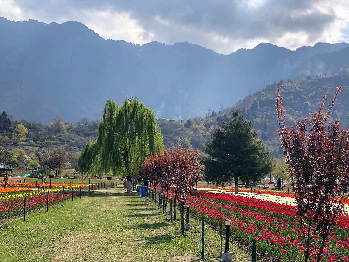 Magical Kashmir: 4 Days Srinagar, Gulmarg and Sonamarg Experience