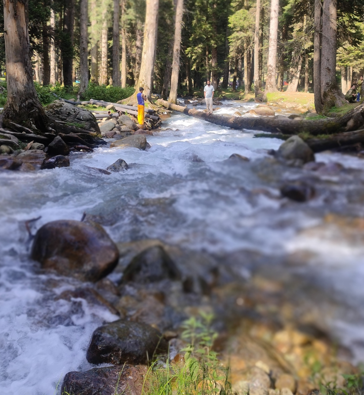 Magical Kashmir Getaway Srinagar Gulmarg & Pahalgam doodhpathri yousmarg