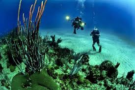 Andaman Adventure Trail