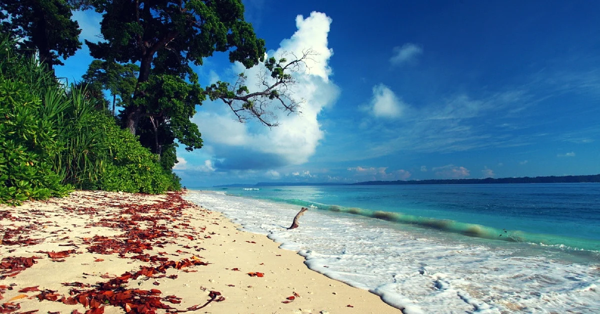 Andaman Tour Package 04 Nights - 05 Days