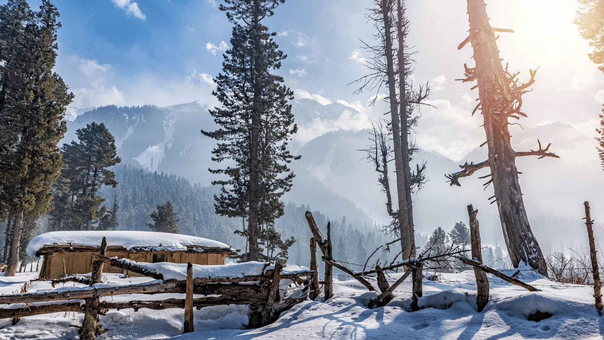 04 Nights 05 Days Kashmir Honeymoon Package