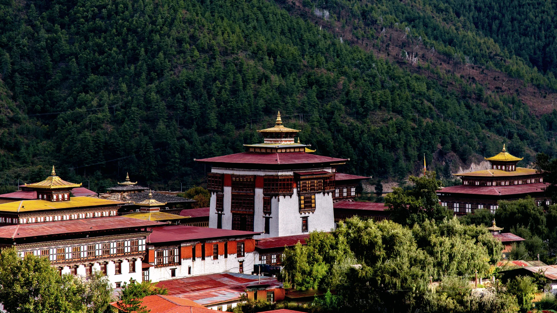 4 Nights 5 Days Bhutan Tour from Phuntsholing