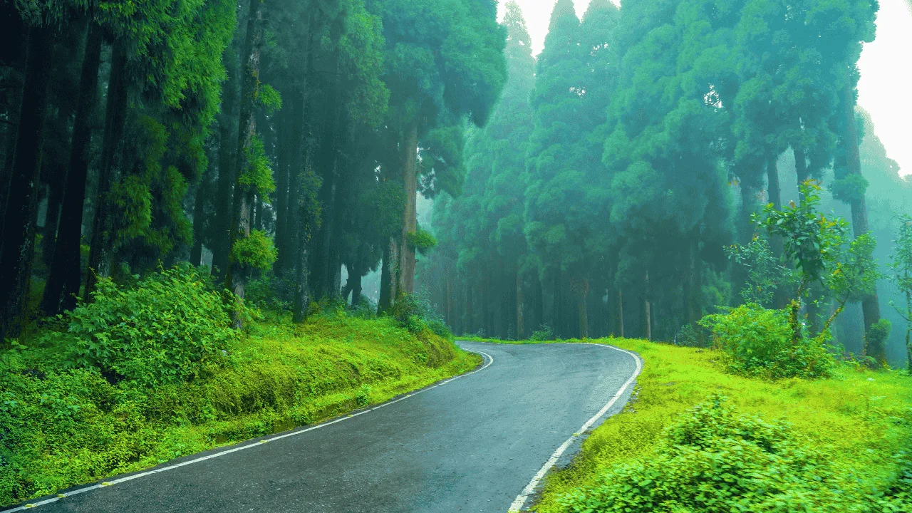 5N Package Darjeeling - Kalimpong - Gangtok In Budget