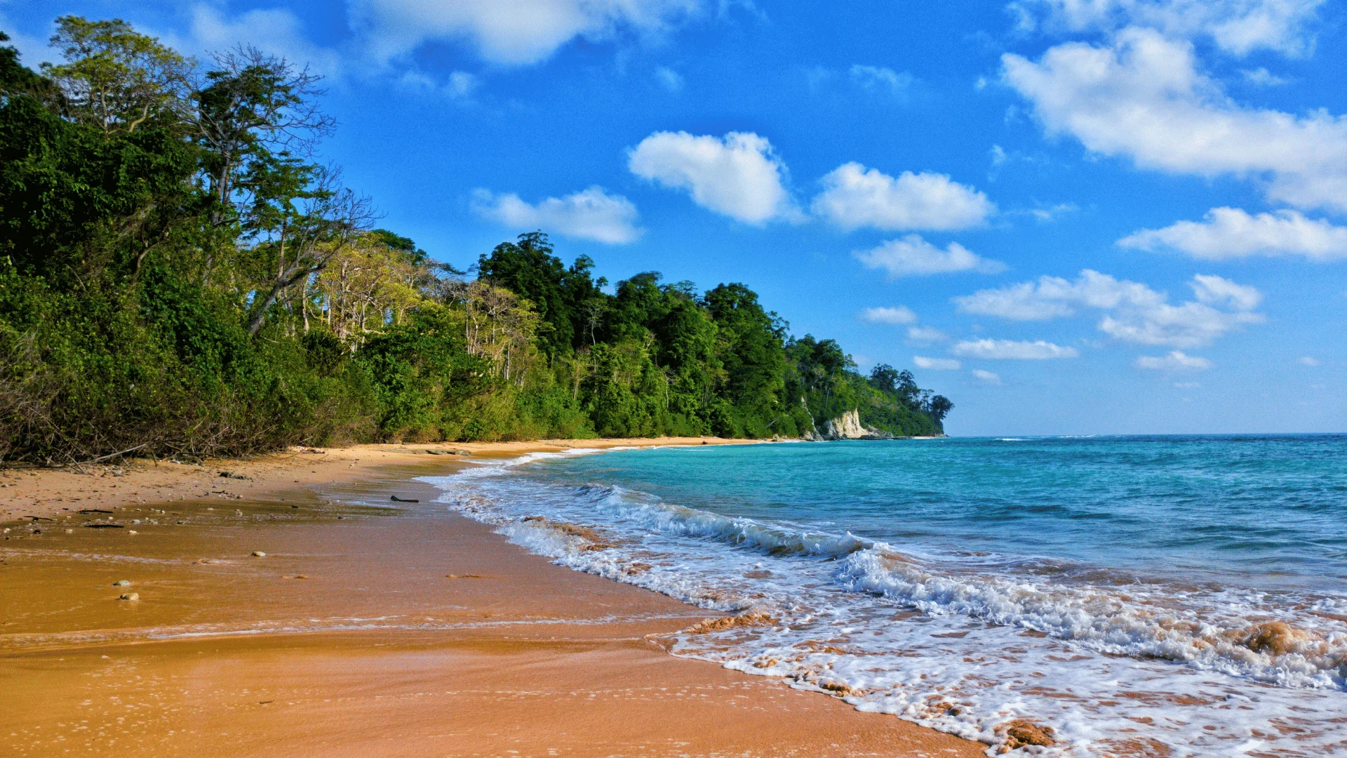 Amazing Andaman: 3N/4D Package