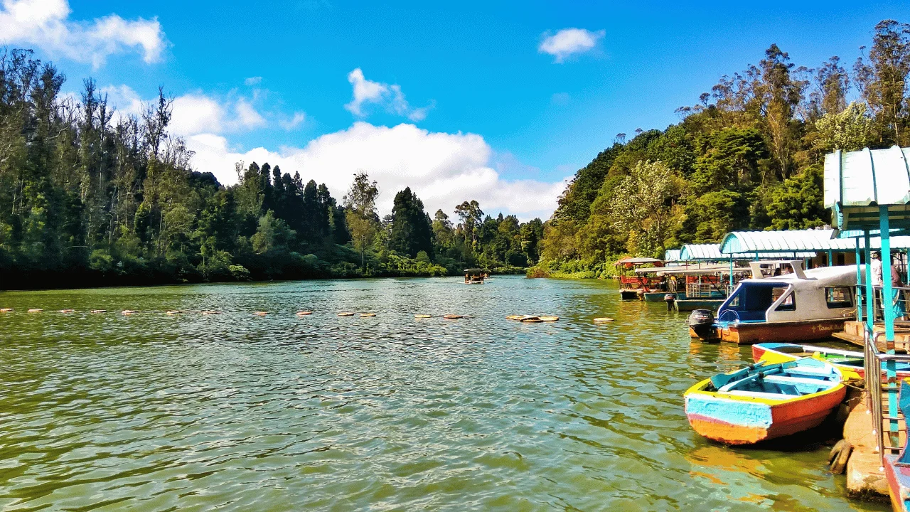 Bangalore - Mysore - Coorg - Ooty Tour