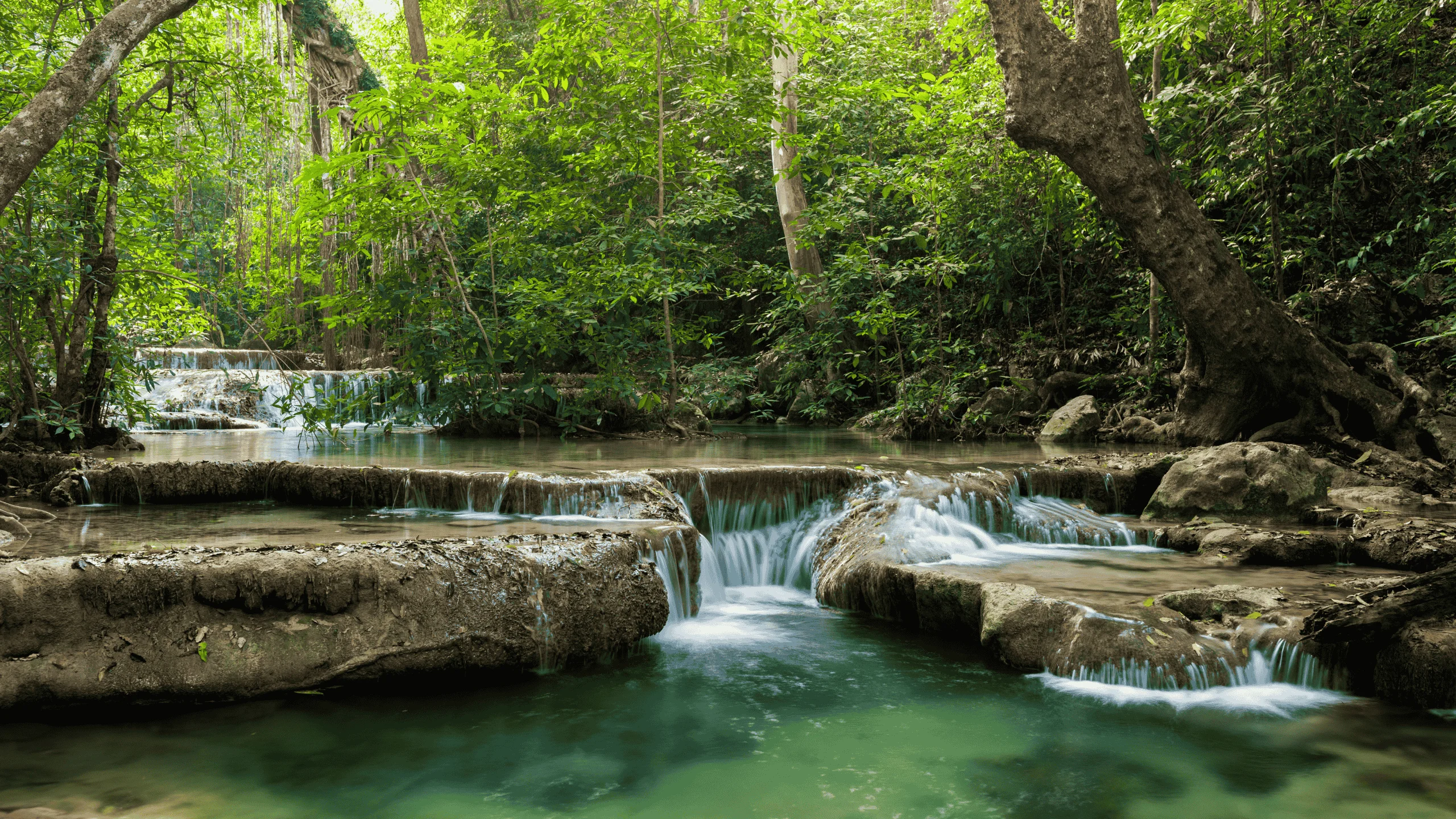 Jim Corbett 2 Night & 3 Days