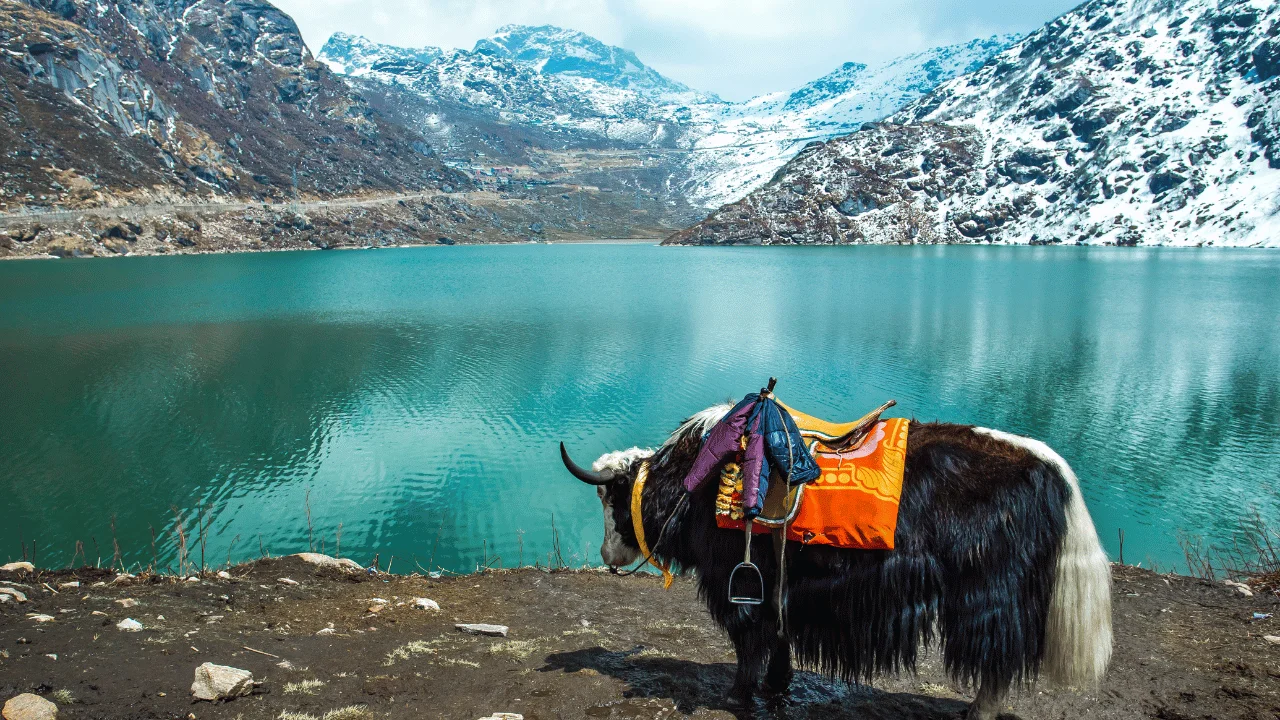 6 Night - 7 Days Sikkim And Darjeeling Tour Package