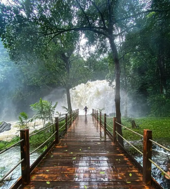 5 Day Coorg and Ooty Holiday