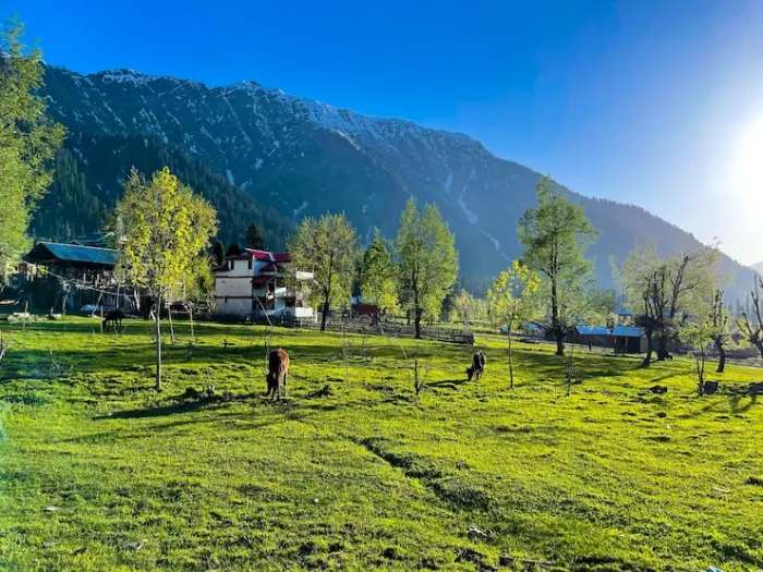 Summer Escape To Kashmir