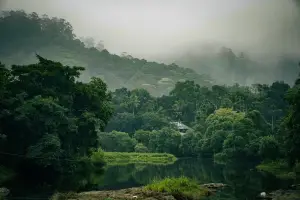 4 Days Premium Munnar & Thekkady Wilderness Retreat: Hills, Spices & Wildlife Safari