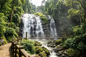 5N/6D Deluxe | The Grand Karnataka & Nilgiri Trail | Coorg & Mysore