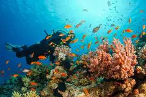 5-Day Andaman Adventure: Port Blair, Havelock, and Neil Island