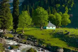 3 Nights Kashmir Budget Tour Package