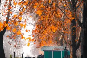 5 Days Scenic Kashmir Tour: Srinagar, Gulmarg, Pahalgam & Sonmarg