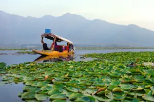 4-Day Scenic Kashmir Valley Tour with Dal Lake and Mughal Gardens