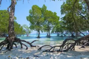 Andaman Escape – 3 Nights of Tropical Bliss