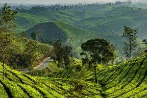 Ooty & Coonoor Delight for 3 Nights