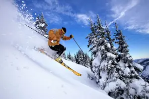 Shimla & Manali Tour Package by Volvo