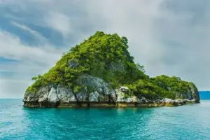 Andaman Island Explorer