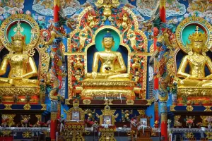 Coorg Tour Package 2 Nights / 3 Day