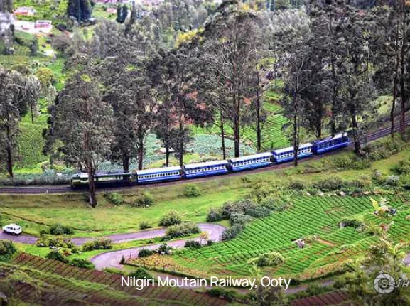 02 Nights & 03 Days Ooty Trip